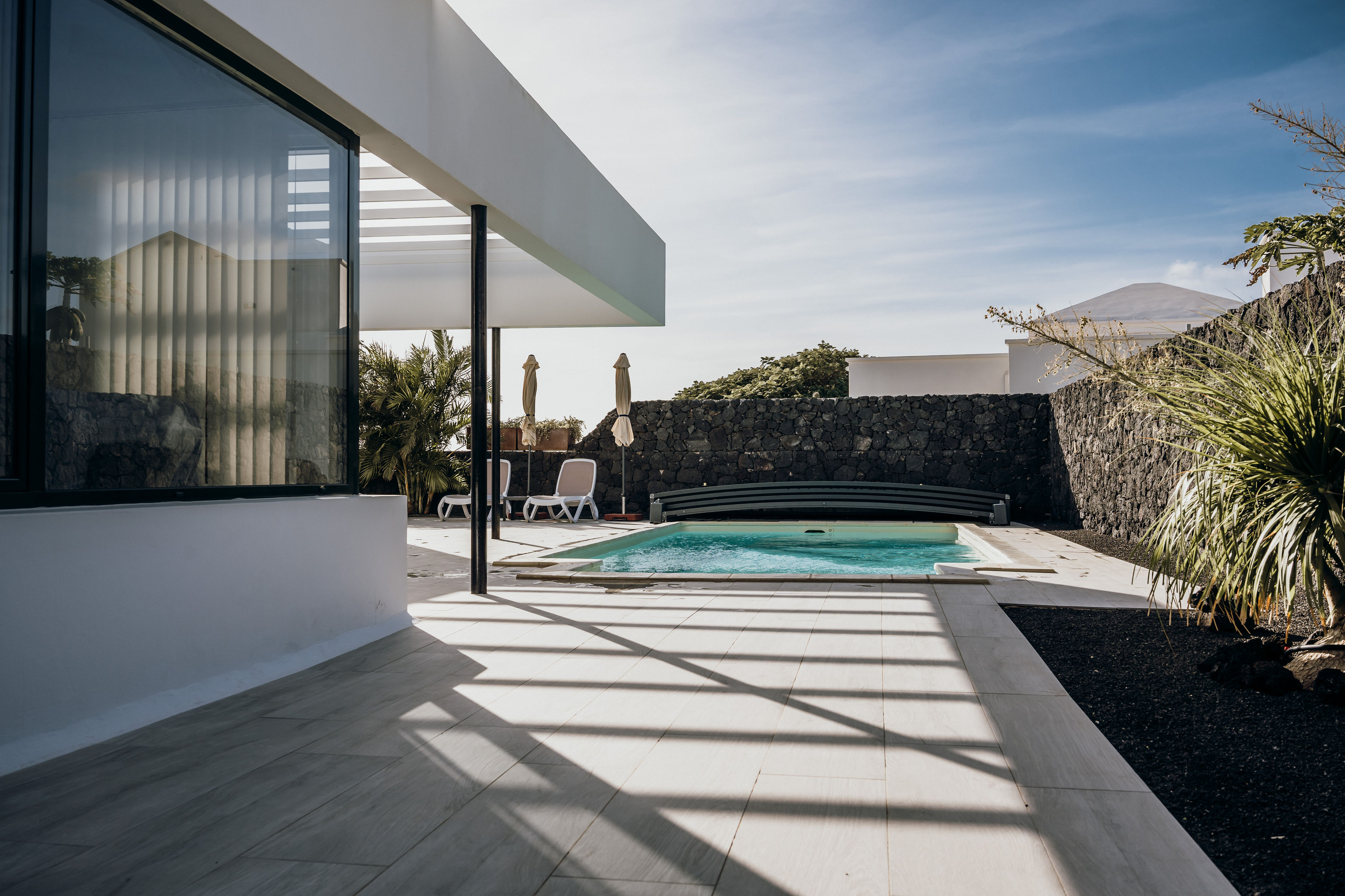 Palmera junto a la pérgola